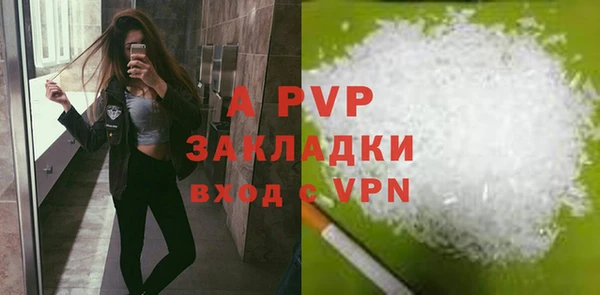 стаф Бикин