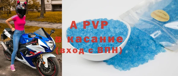 индика Зерноград